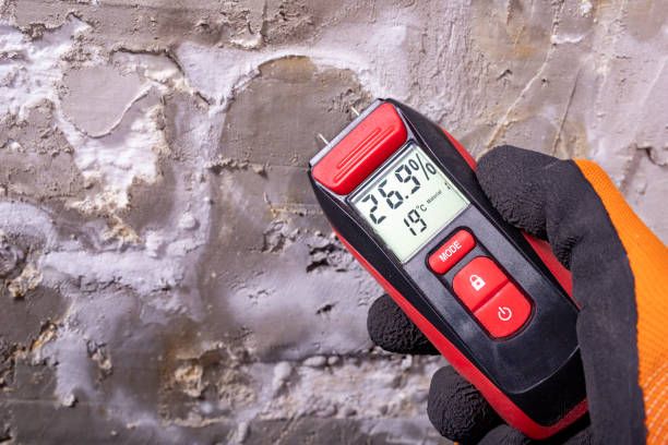 Best Local Mold Removal Service  in Aliso Viejo, CA
