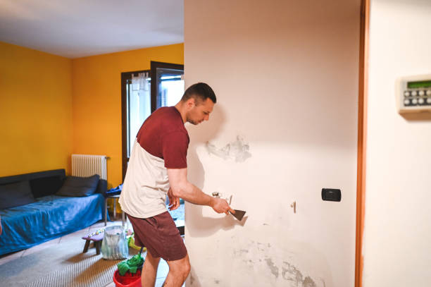 Office Mold Removal Services in Aliso Viejo, CA